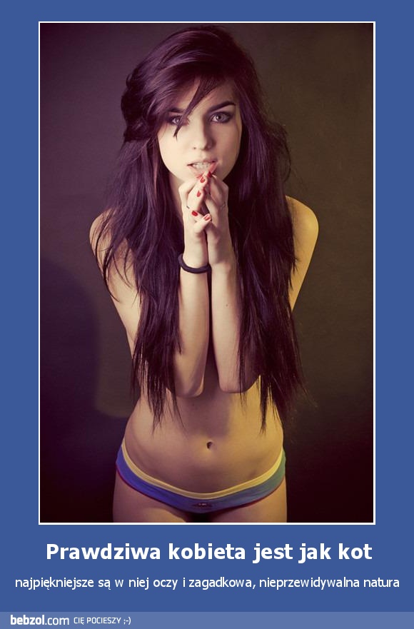 Prawdziwa kobieta jest jak kot