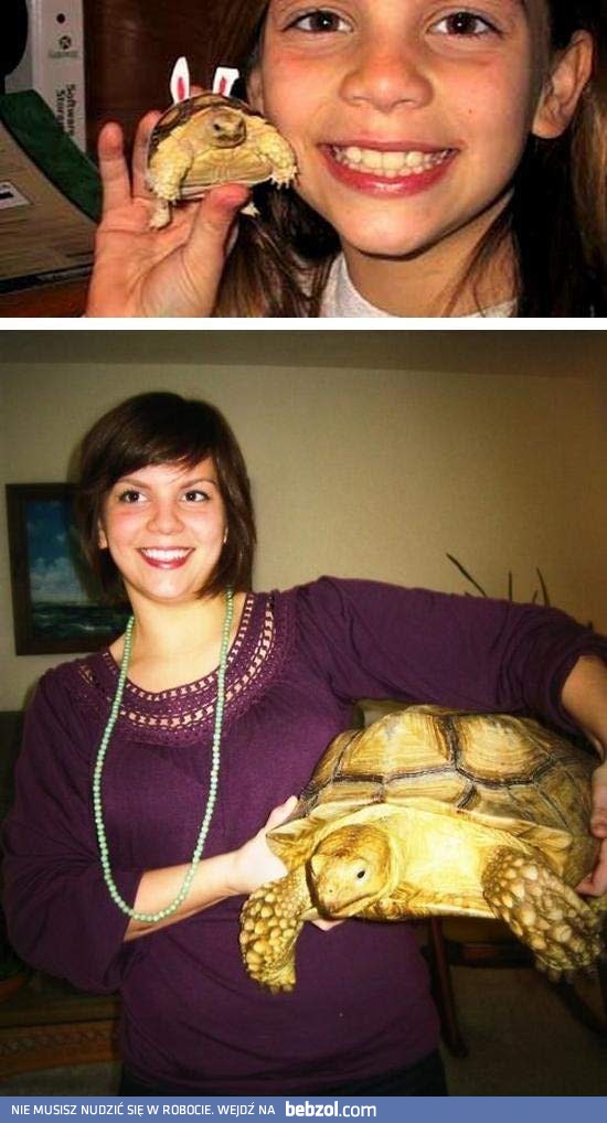 A miała być miniaturka