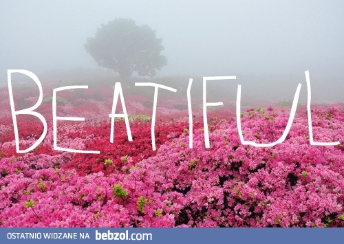 Beatiful