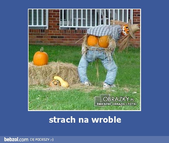 strach na wroble