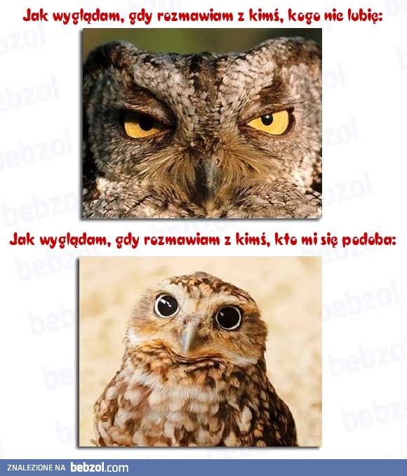 Jak wyglądam podczas rozmowy z...