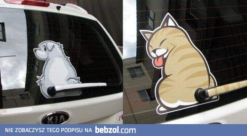 Trochę radości na deszczowe dni