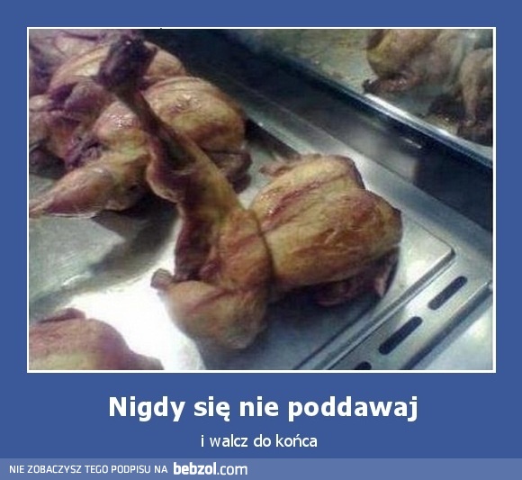 Nigdy się nie poddawaj