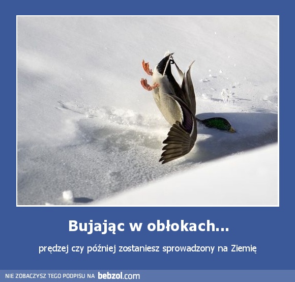 Bujając w obłokach...