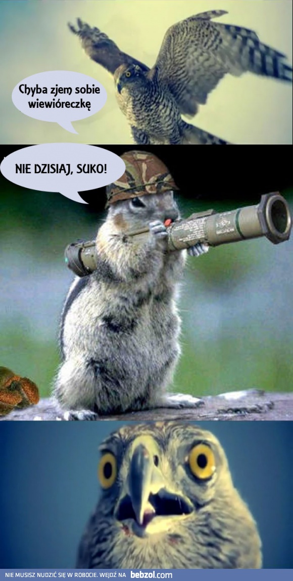 Chyba zjem sobie wiewióreczkę