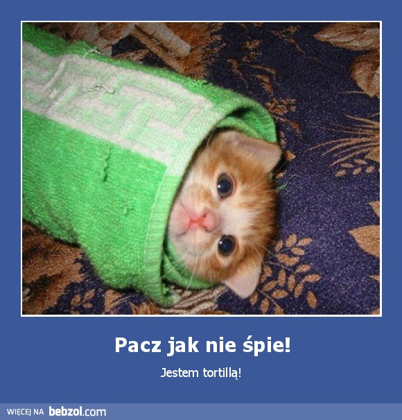 Pacz jak nie śpie!