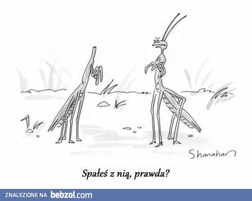 Zdrada wyszła na jaw...