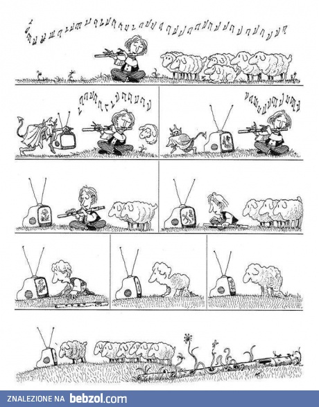 Wszyscy jesteśmy jak te owieczki