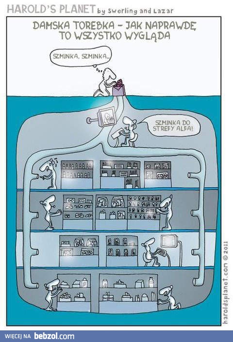 Jak wygląda damska torebka