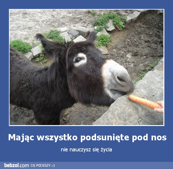 Mając wszystko podsunięte pod nos