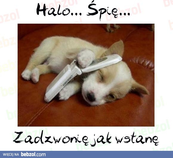 Halo... Śpię!