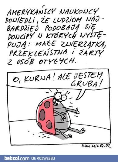 W najlepszych żartach musi być: