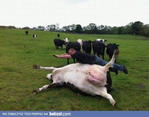 Najdziwniejsze zdjęcie w sieci