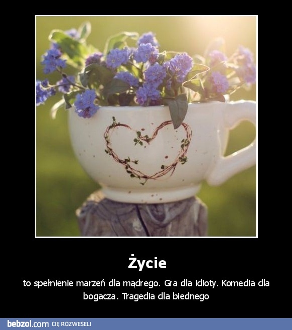 Życie