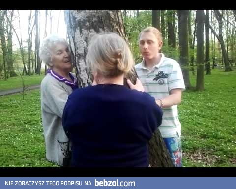 Mohery trzymają brzozę :D