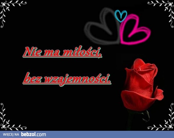 Miłość należy odwzajemniać