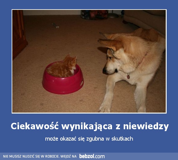 Ciekawość wynikająca z niewiedzy