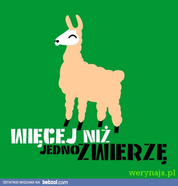 Więcej niż jedno zwierze to?