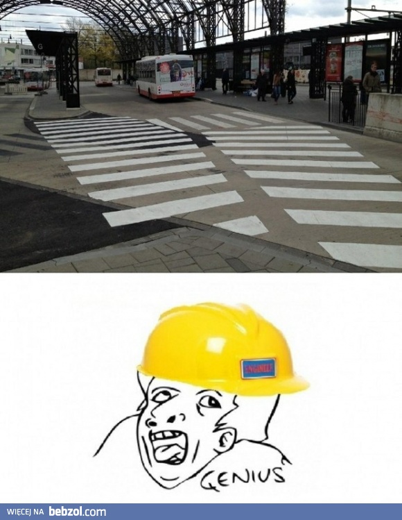 Tymczasem w Holandii