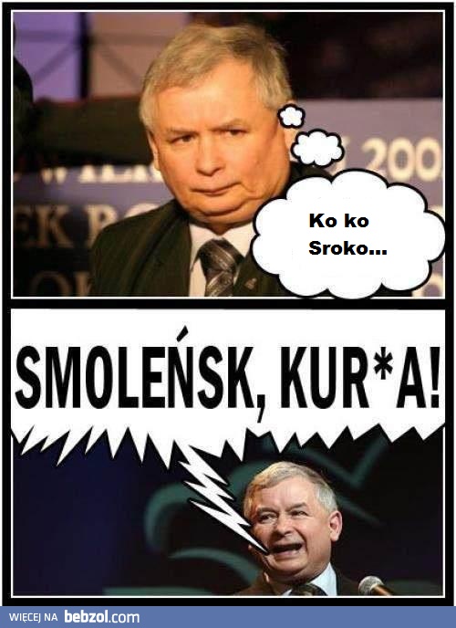 Koko sroko...