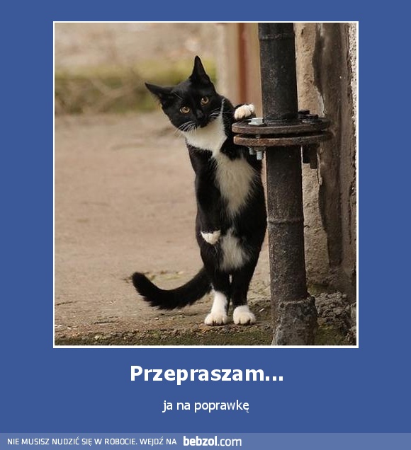 Przepraszam...