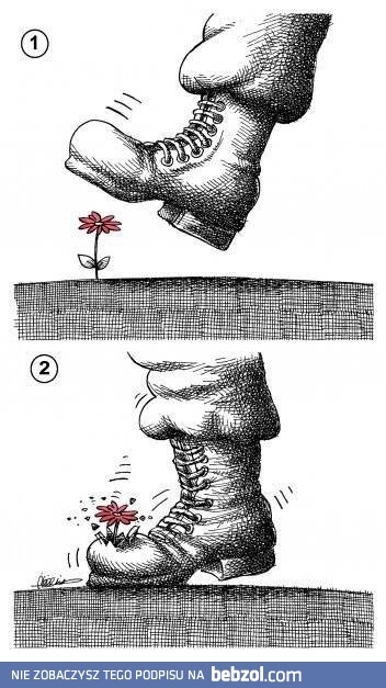 Nie depcz kwiatków!