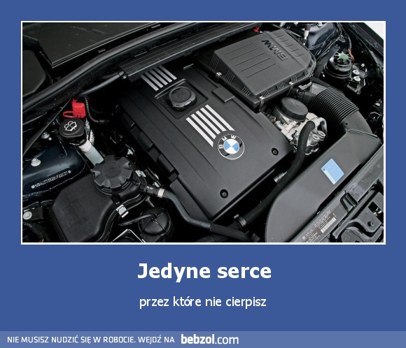 Jedyne serce