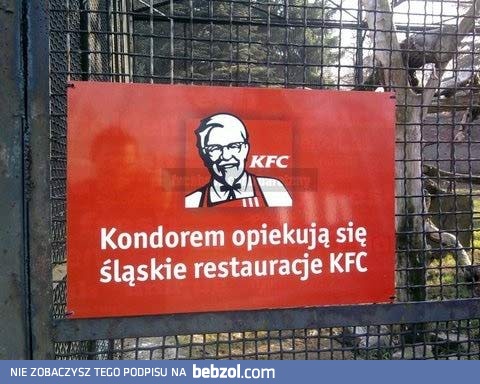 Z głodu nie padnie...