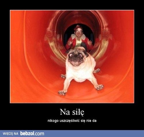 Na siłę