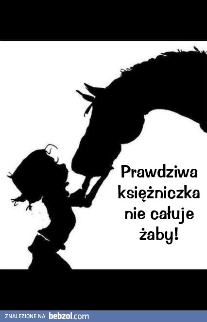 Żaba?!