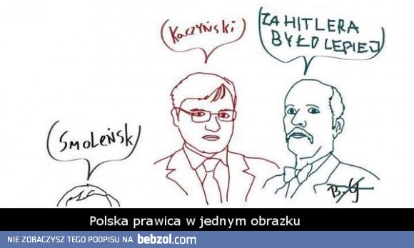 Polska prawica w jednym obrazku