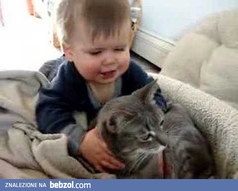 Bardzo cierpliwy kot