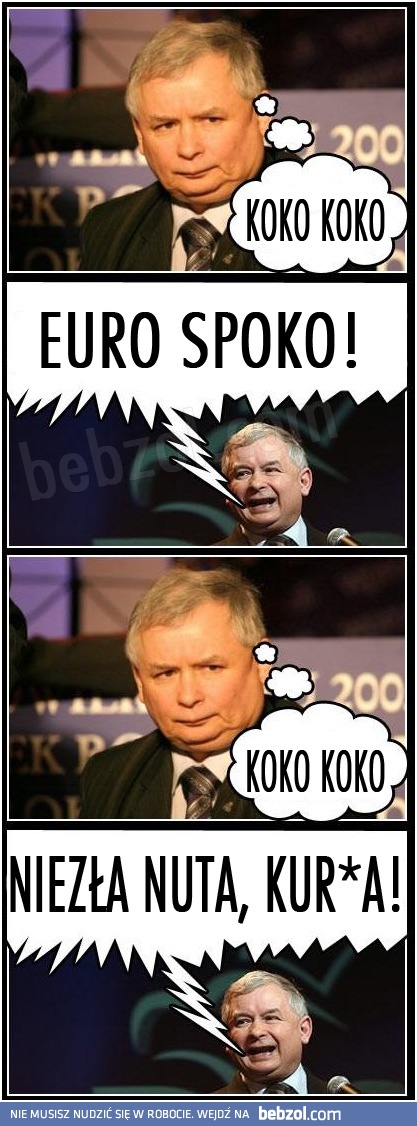 Koko koko euro spoko