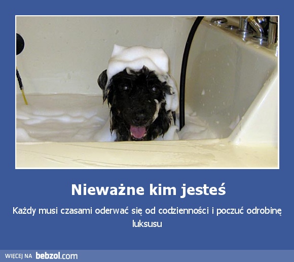 Nieważne kim jesteś