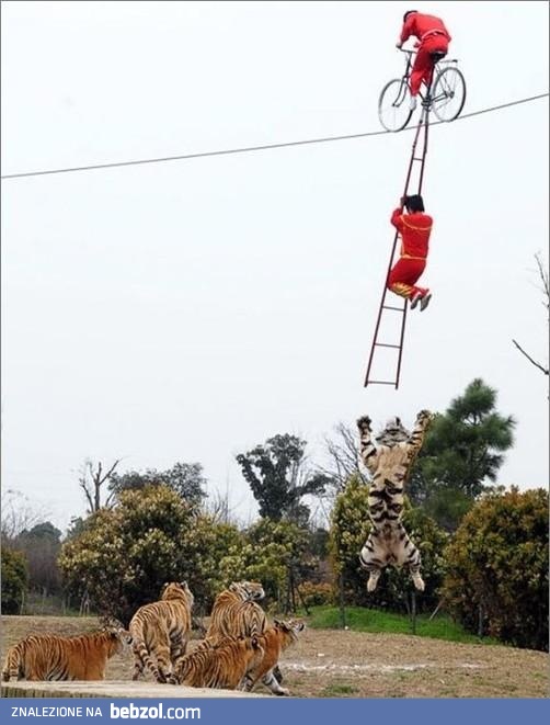 Adrenalina - niektórzy to lubią