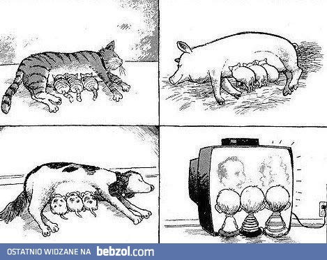 Czym karmisz swoje dzieci?