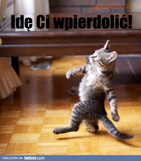 Idę Ci wpierdolić