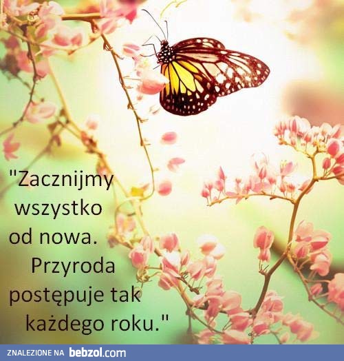 Nowy początek