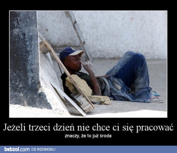 Coś jest na rzeczy