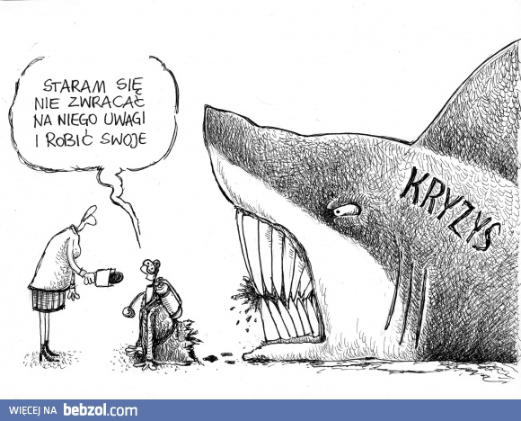 Nie zwracaj uwagi na kryzys! 