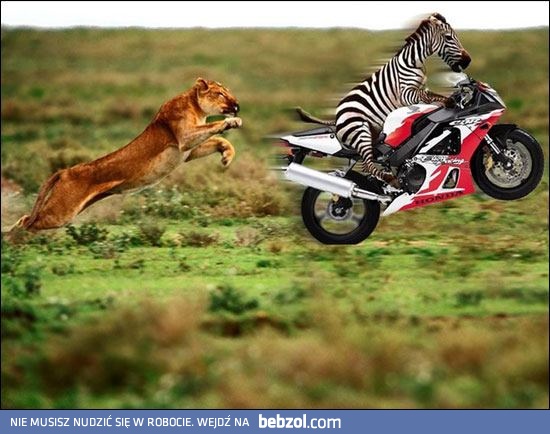 I kto teraz jest szybszy?