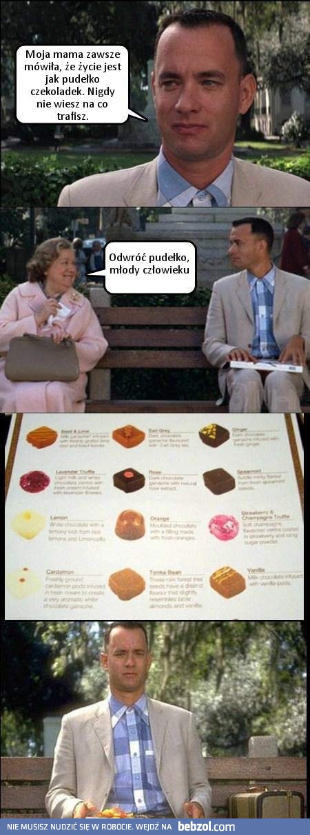 Forrest i czekoladki