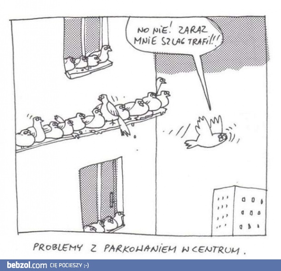 Problemy z parkowaniem