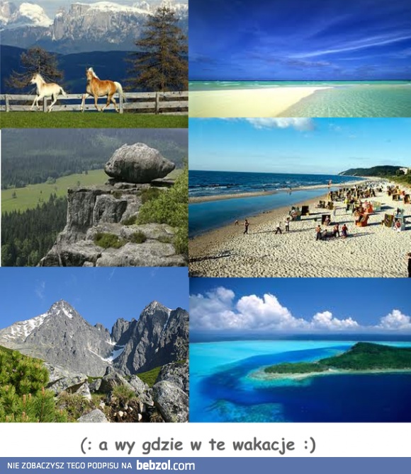 Macie już jakieś plany?