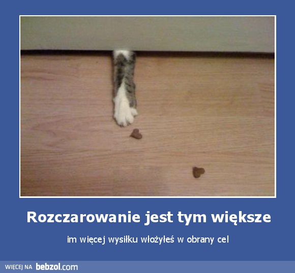 Rozczarowanie jest tym większe