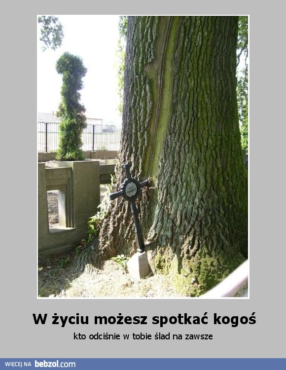W życiu możesz spotkać kogoś