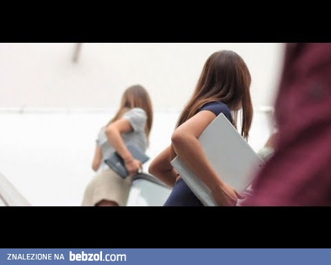 Zoochosis - ruchome schody