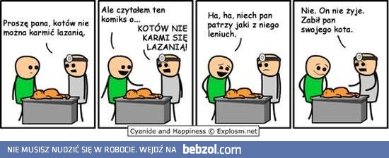 Kotów nie można karmić lazanią!