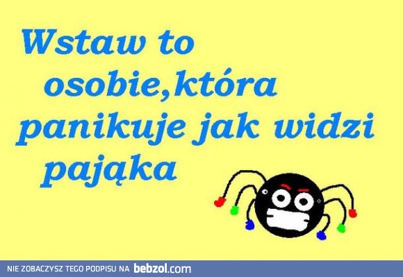 Nie cierpię pająków!