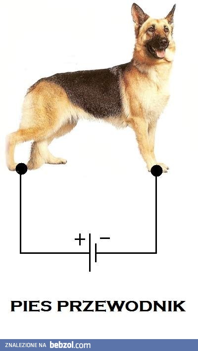 Mamy tu jakiegoś elektryka?